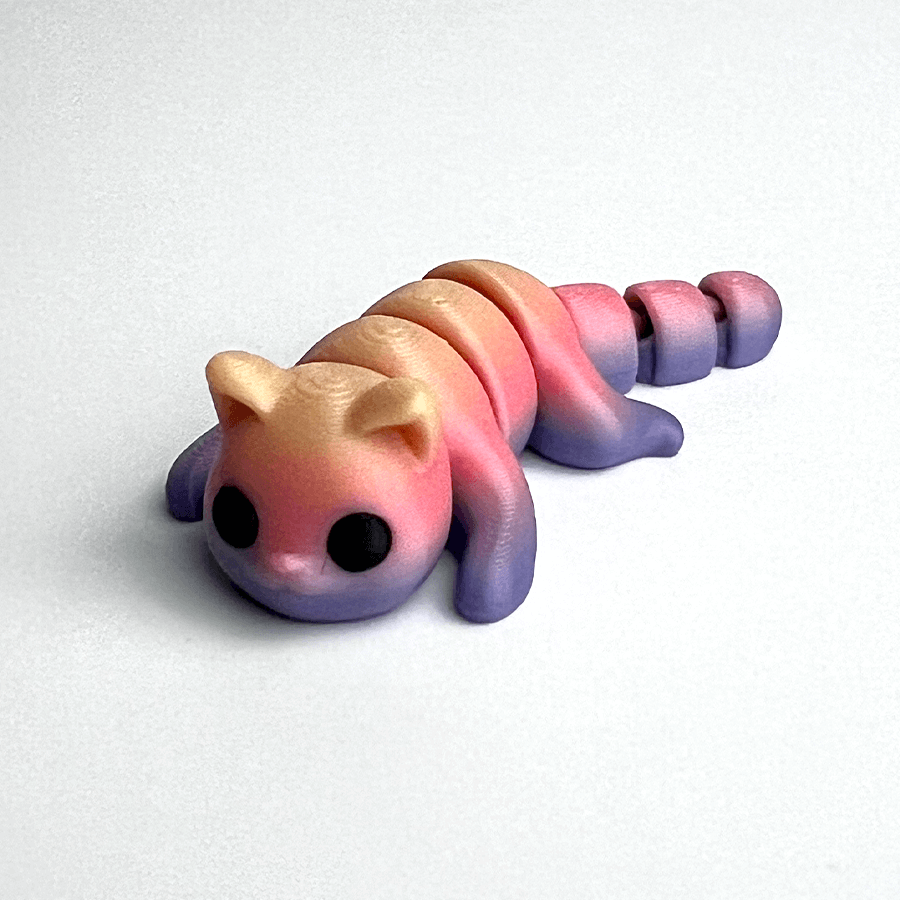 Cat - Rainbow