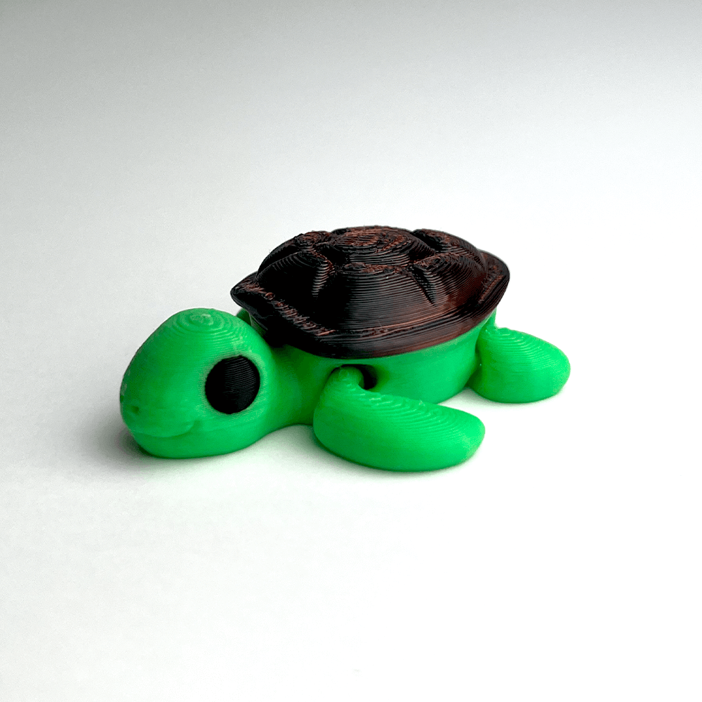 Turtle