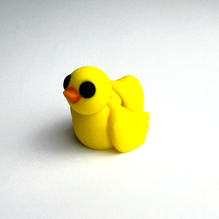 Duck