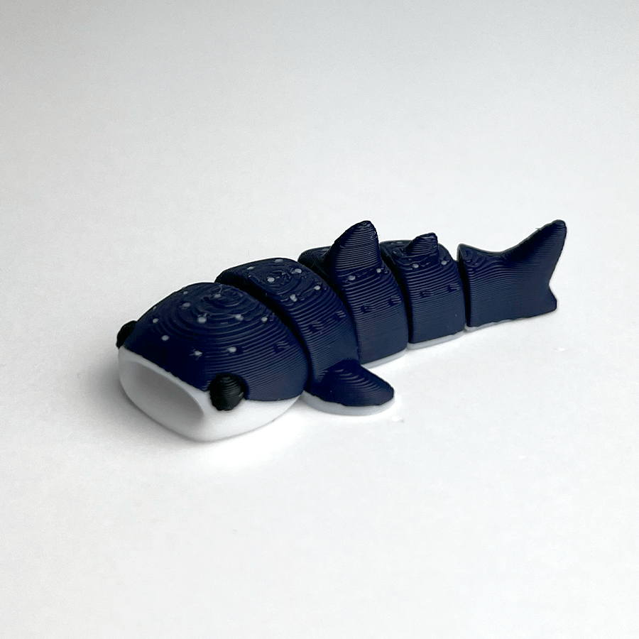 Whale Shark