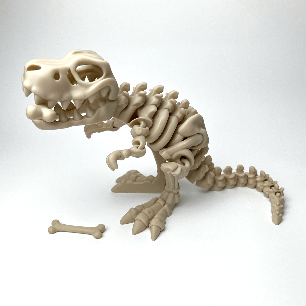T - Rex Flexi Skeleton - Satrah 3D