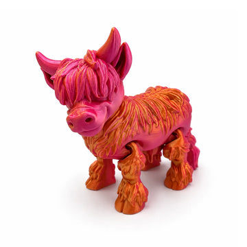 Highland Cow