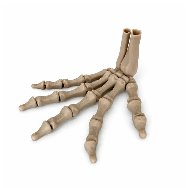 Skeleton Hand