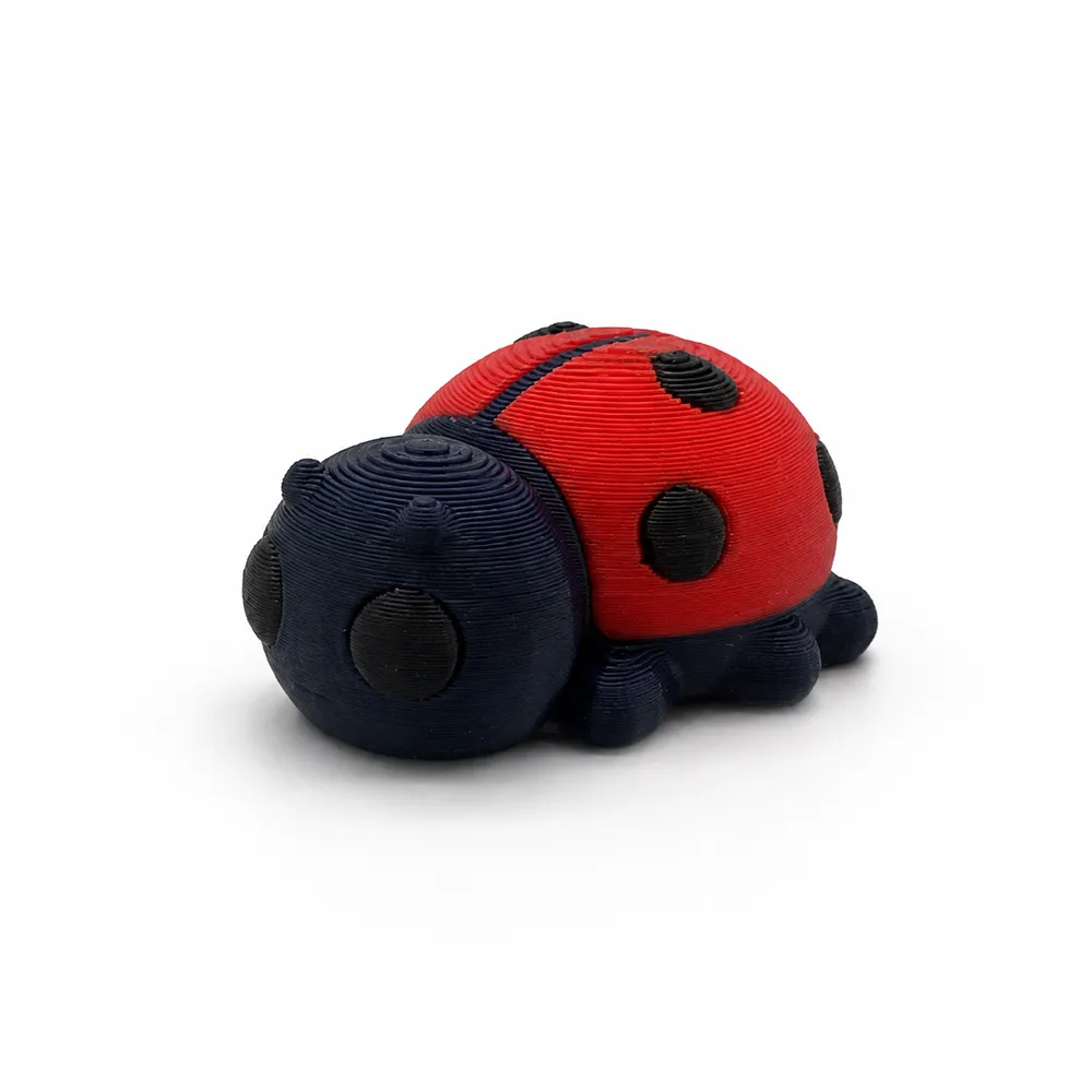 Ladybug Pocket Pal
