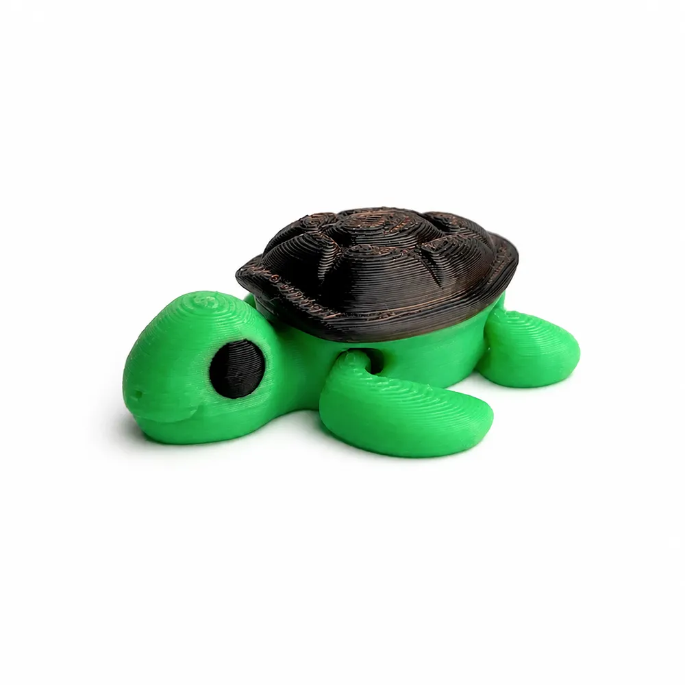 Turtle Pocket Pal